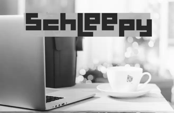 Schleepy Polices examples