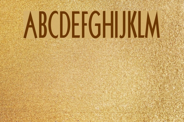 Schlimeyer Book Font examples