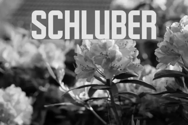 Schluber Font examples
