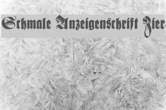 Schmale Anzeigenschrift Zier フォント examples