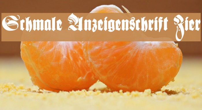 Schmale Anzeigenschrift Zier Font examples