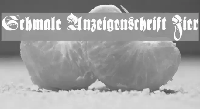 Schmale Anzeigenschrift Zier フォント examples