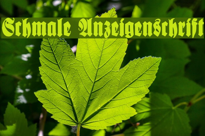 Schmale Anzeigenschrift Font examples