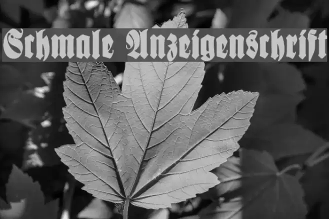Schmale Anzeigenschrift フォント examples