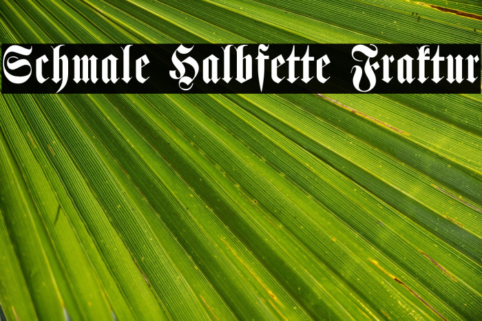 Schmale Halbfette Fraktur Example 1