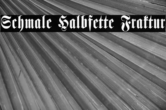 Schmale Halbfette Fraktur Font examples