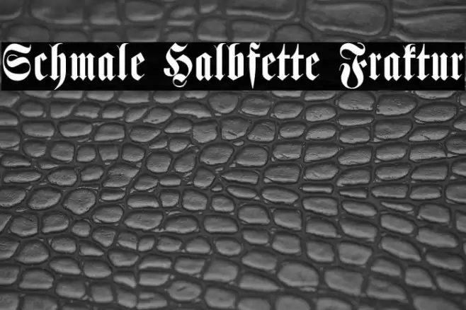 Schmale Halbfette Fraktur Font examples
