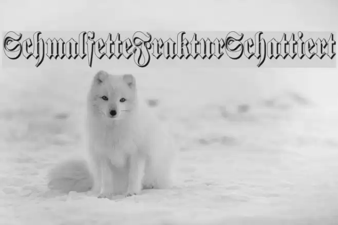 SchmalfetteFrakturSchattiert Font examples