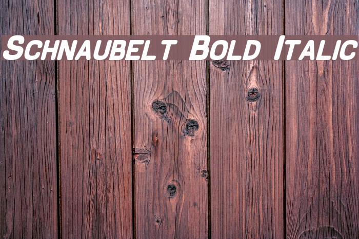 Schnaubelt Bold Italic Font examples