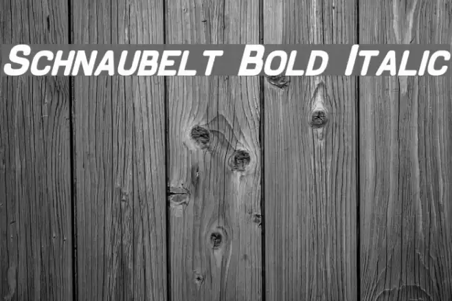 Schnaubelt Bold Italic Font examples