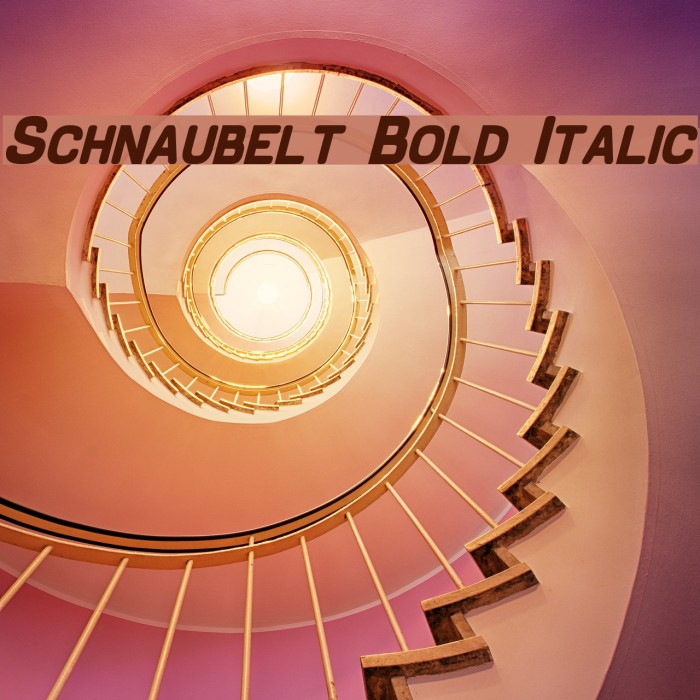 Schnaubelt Bold Italic Font examples
