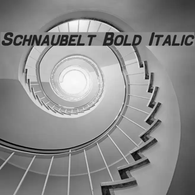Schnaubelt Bold Italic Font examples