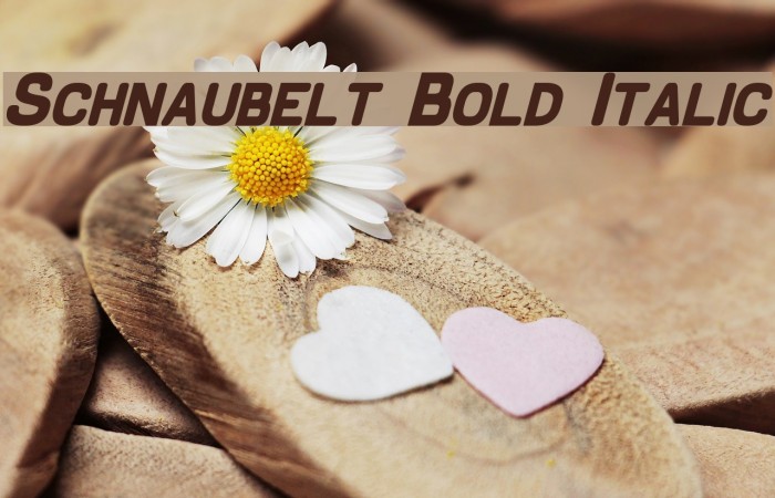 Schnaubelt Bold Italic Font examples