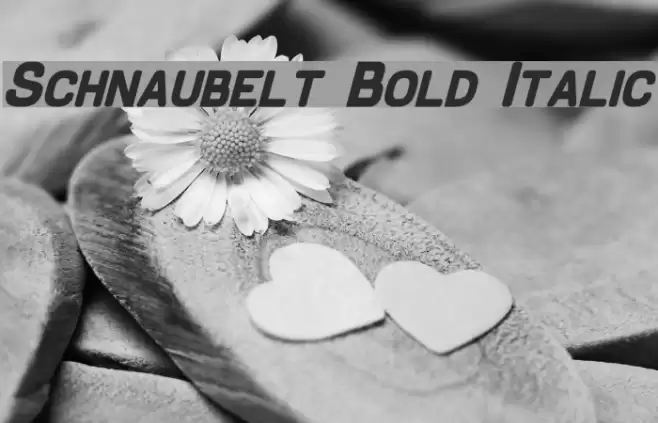 Schnaubelt Bold Italic Font examples
