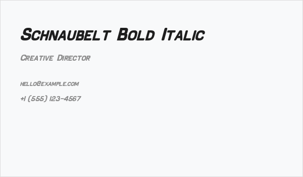 Schnaubelt Bold Italic Business Card