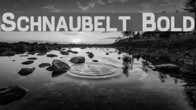 Schnaubelt Bold Font examples