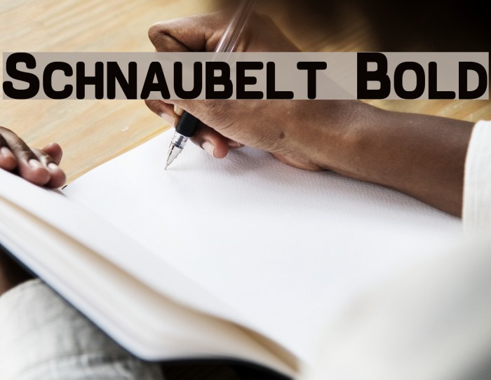 Schnaubelt Bold Font examples