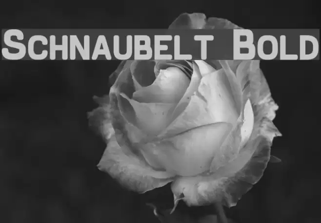 Schnaubelt Bold Font examples