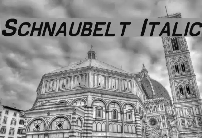 Schnaubelt Italic Font examples