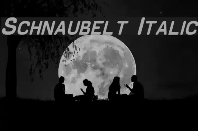 Schnaubelt Italic Font examples
