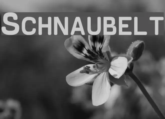 Schnaubelt Font examples