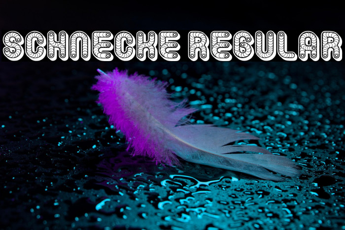 Schnecke Regular Example 1