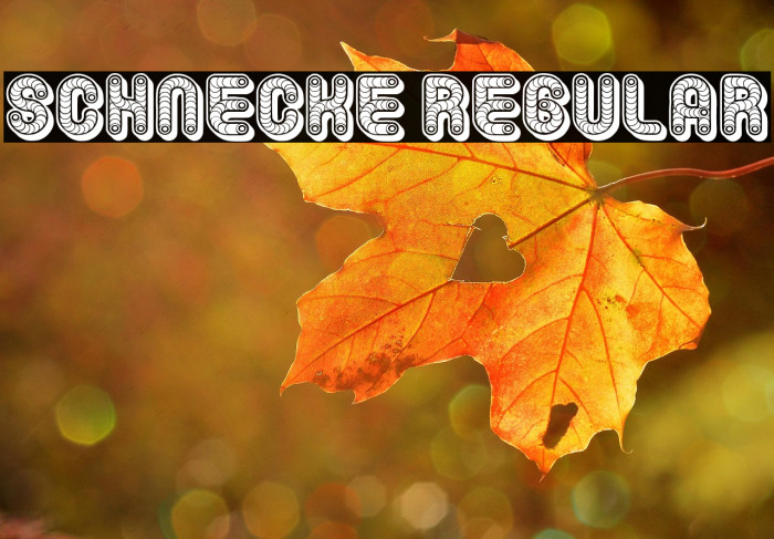 Schnecke Regular Example 2