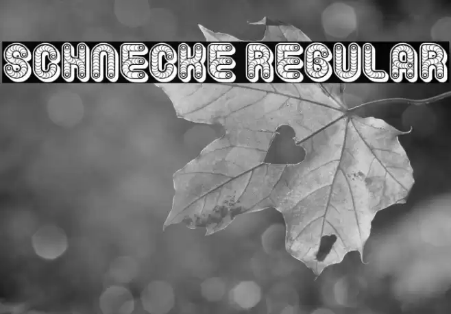 Schnecke Regular Font examples