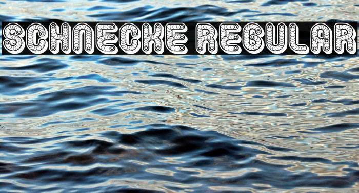 Schnecke Regular Example 3