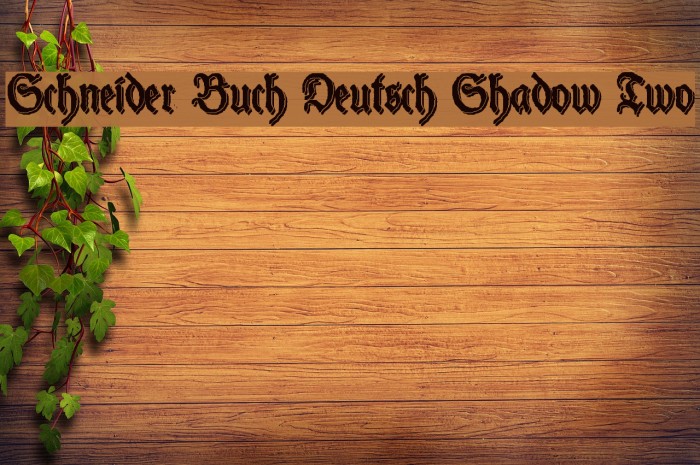 Schneider Buch Deutsch Shadow Two Font examples