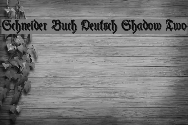 Schneider Buch Deutsch Shadow Two Font examples