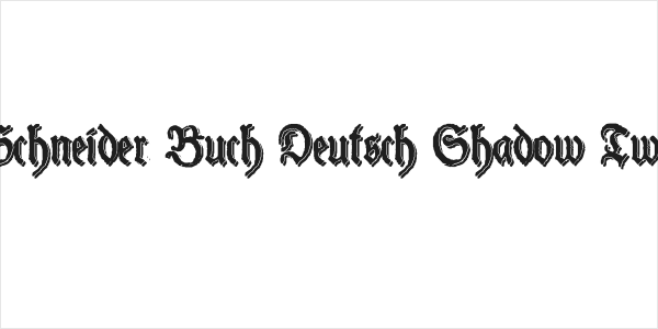 Schneider Buch Deutsch Shadow Two Logo