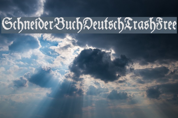 SchneiderBuchDeutschTrashFree Font examples