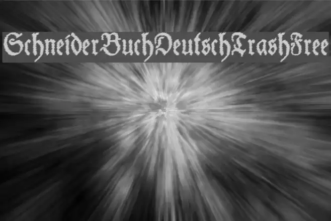 SchneiderBuchDeutschTrashFree Font examples