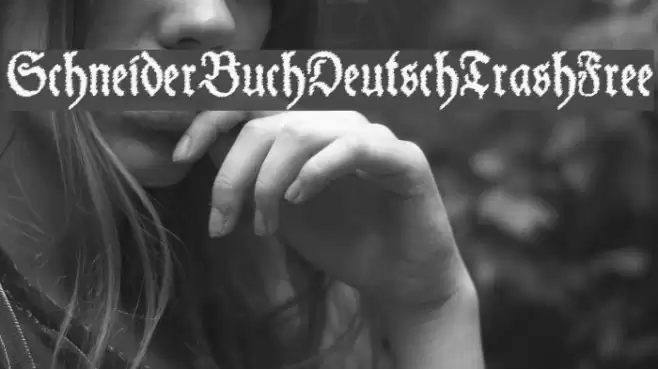 SchneiderBuchDeutschTrashFree Font examples