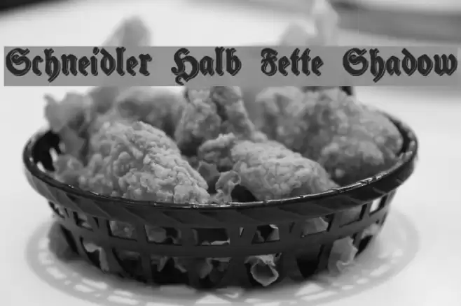 Schneidler Halb Fette Shadow Font examples