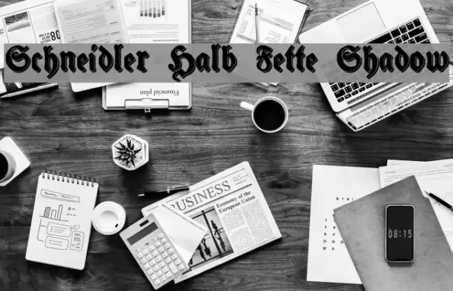 Schneidler Halb Fette Shadow Font examples