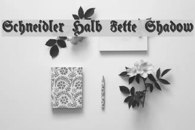 Schneidler Halb Fette Shadow Font examples