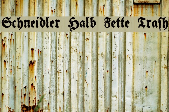 Schneidler Halb Fette Trash Font examples