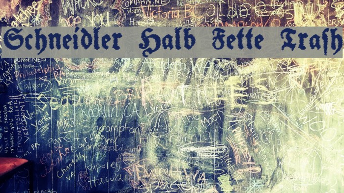Schneidler Halb Fette Trash Font examples