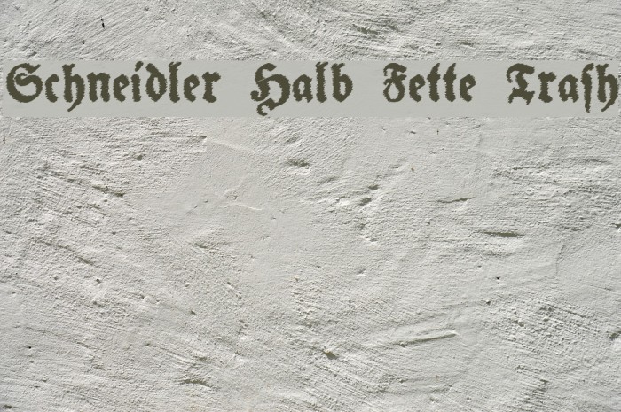 Schneidler Halb Fette Trash Font examples