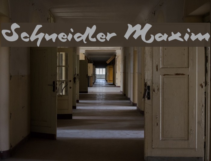 Schneidler Maxim Example 1