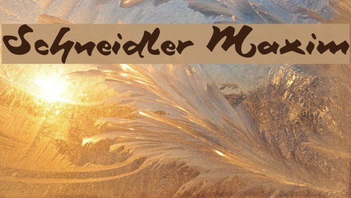 Schneidler Maxim Example 2