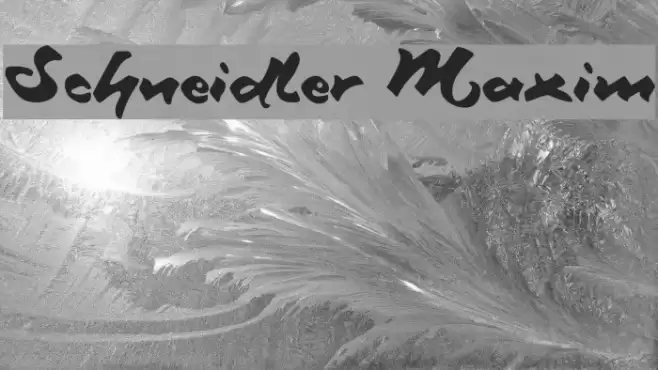 Schneidler Maxim Font examples
