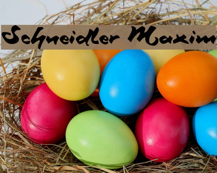 Schneidler Maxim Example 3