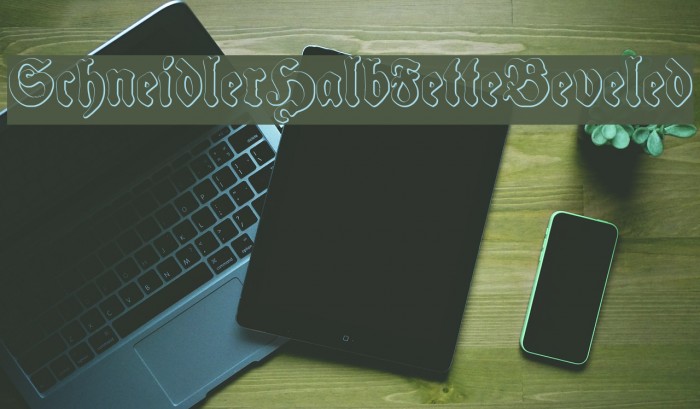 SchneidlerHalbFetteBeveled Font examples