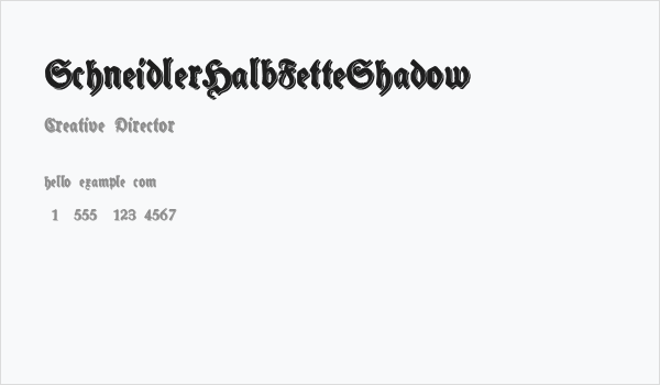 SchneidlerHalbFetteShadow Business Card