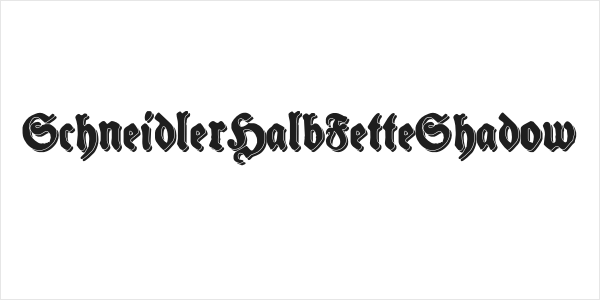 SchneidlerHalbFetteShadow Logo