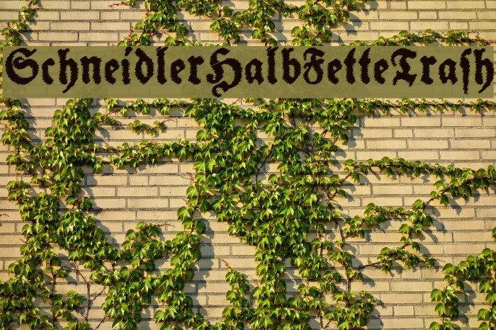SchneidlerHalbFetteTrash Font examples