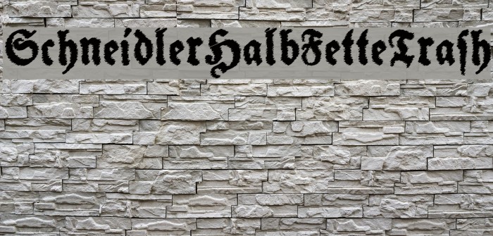 SchneidlerHalbFetteTrash Font examples